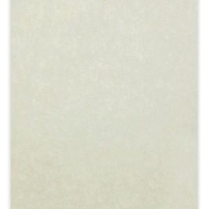 CARTULINA A/4 PARCHMENT GRIS 170 GRS 100 HOJAS CG